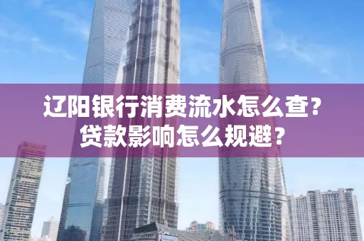 辽阳银行消费流水怎么查?贷款影响怎么规避?